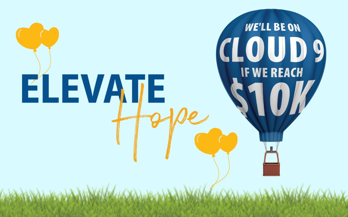 Website Post elevate Hope