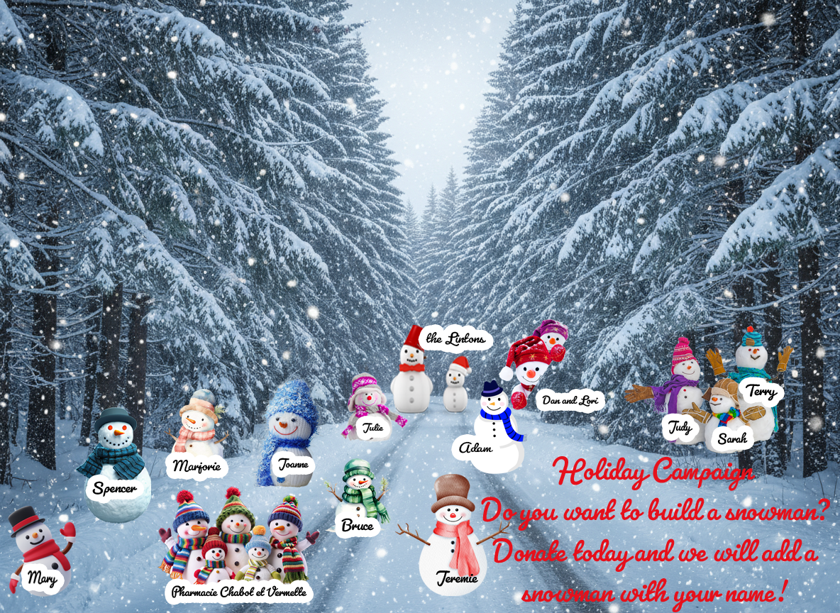 A wintery scene with snowmen lining the street and names written on each snowman of donors to the campaign.