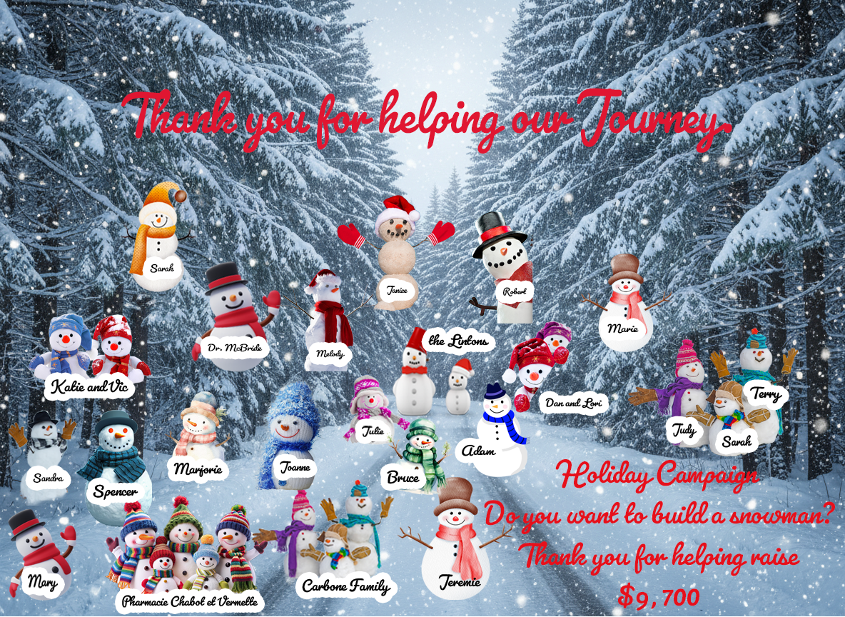 Thank you card image of all donations with named snowmen on the snow covered roadway.